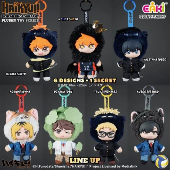 HAIKYU blind box