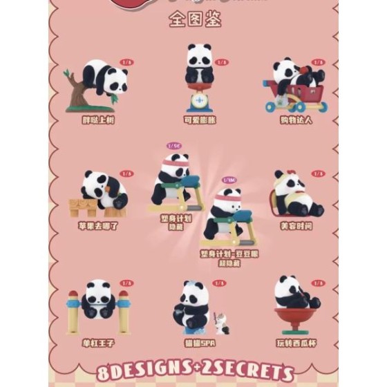 Chubby Little Kid\'s Fun Diary