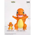 Pokemon CHARMANDER Large-sized