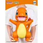Pokemon - Charizard Edition